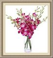 Fredericks Floral Designs, 14 8th St S, Fargo, ND 58103, (701)_232-7127